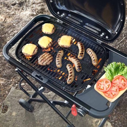 Weber® Traveler® Compact WW Φορητή Ψησταριά Υγραερίου (8)
